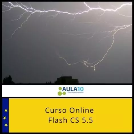 Curso Online Flash CS 5.5