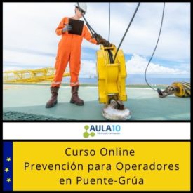 Curso Online de Prevención para Operadores en Puente-Grúa