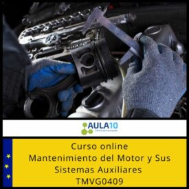 Mantenimiento del Motor y Sus Sistemas Auxiliares para el Certificado de profesionalidad TMVG0409