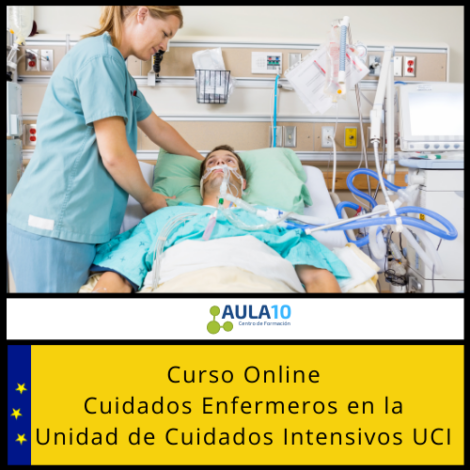 Curso Online Cuidados Enfermeros en la Unidad de Cuidados Intensivos UCI