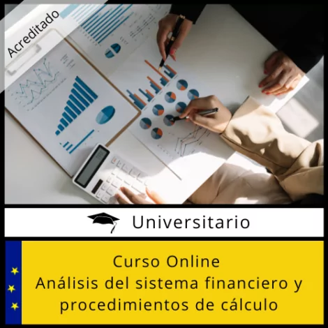 Curso Online Análisis del Sistema Financiero y Procedimientos de Cálculo Acreditado