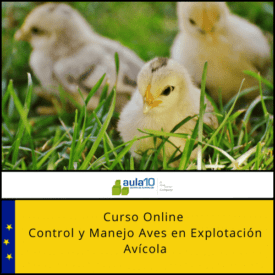 Curso Online Control y Manejo Aves en Explotación Avícola