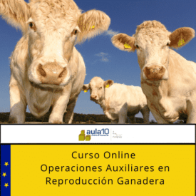 Curso Online Operaciones Auxiliares en Reproducción Ganadera