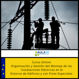 Curso Online Organización y Gestión del Montaje de las Instalaciones Eléctricas en el Entorno de Edificios y con Fines Especiales