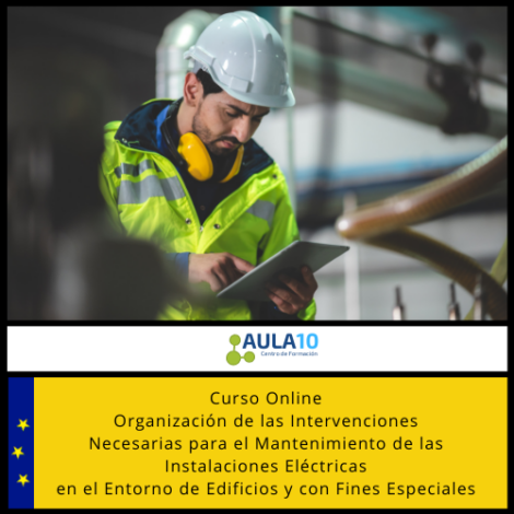 Organización de las Intervenciones Necesarias para el Mantenimiento de las Instalaciones Eléctricas en el Entorno de Edificios y con Fines Especiales