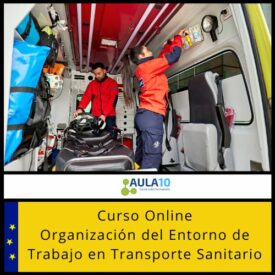 Curso Online Organización del Entorno de Trabajo en Transporte Sanitario