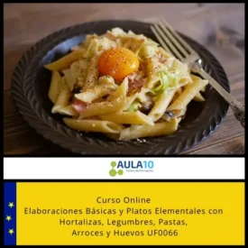 Curso Elaboraciones Básicas y Platos Elementales con Hortalizas, Legumbres, Pastas, Arroces y Huevos UF0066