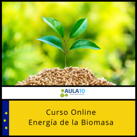 Curso Online Energía de la Biomasa