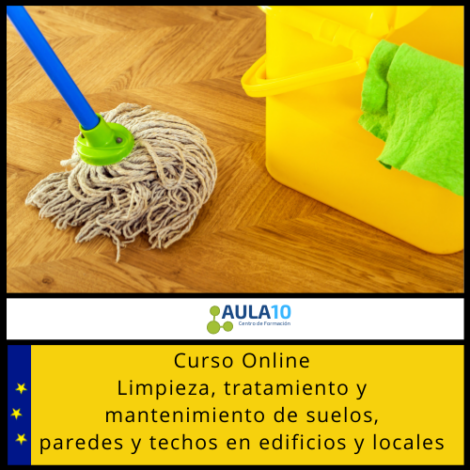 Curso Online Limpieza, Tratamiento y Mantenimiento de Suelos, Paredes y Techos en Edificios y Locales