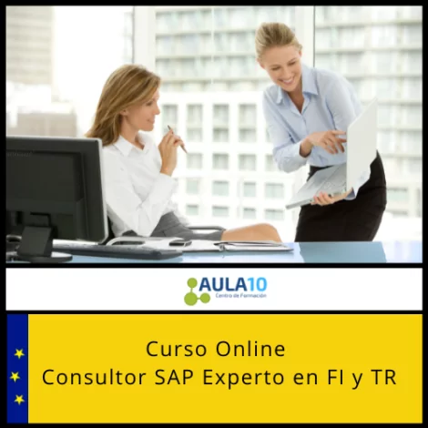 Consultor SAP Experto en FI y TR