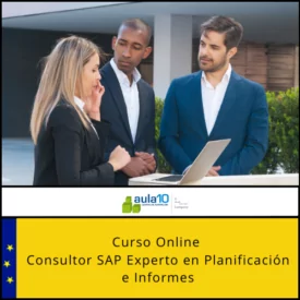 Consultor SAP Experto en Planificación e Informes