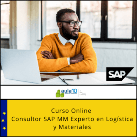 Consultor SAP MM Experto en Logística y Materiales (2)