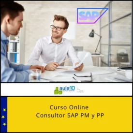 Consultor SAP PM y PP
