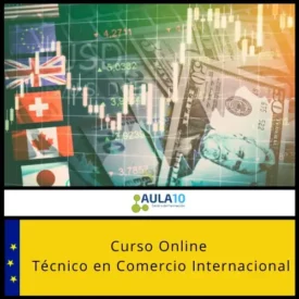 Técnico en Comercio Internacional