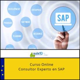Consultor Experto en SAP (2)