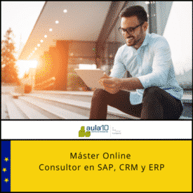 Máster Consultor en SAP, CRM y ERP (2)