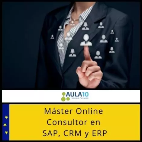 Máster Online de Consultor en SAP, CRM y ERP