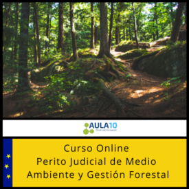 Curso Online de Perito Judicial de Medio Ambiente y Gestión Forestal