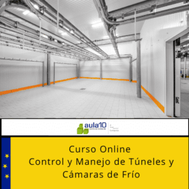 Curso Online Control y Manejo de Túneles y Cámaras de Frío