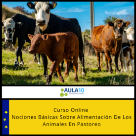 Curso Online Nociones Básicas Sobre Alimentación De Los Animales En Pastoreo