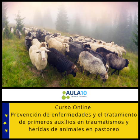 Curso Online Prevención de Enfermedades y el Tratamiento de Primeros Auxilios en Traumatismos y Heridas de Animales en Pastoreo