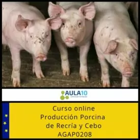 Producción porcina de recría y cebo AGAP0208