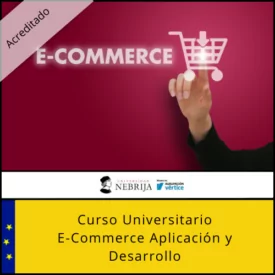 E-commerce. Aplicación y desarrollo
