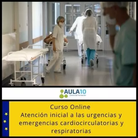 Curso Online Atención inicial a las urgencias y emergencias cardiocirculatorias y respiratoriasCurso Online Atención inicial a las urgencias y emergencias cardiocirculatorias y respiratorias
