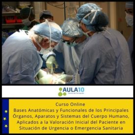 Curso Online Bases Anatómicas y Funcionales de los Principales Órganos, Aparatos y Sistemas del Cuerpo Humano, Aplicados a la Valoración Inicial del Paciente en Situación de Urgencia o Emergencia Sanitaria