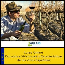 Curso Online Estructura Vitivinícola y Características de los Vinos Españoles