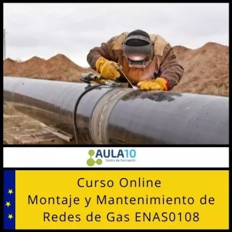 Montaje y Mantenimiento de Redes de Gas ENAS0108