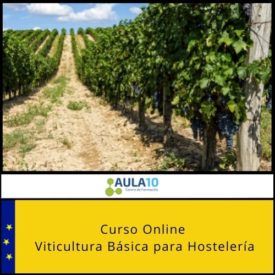Curso Online Viticultura Básica para Hostelería