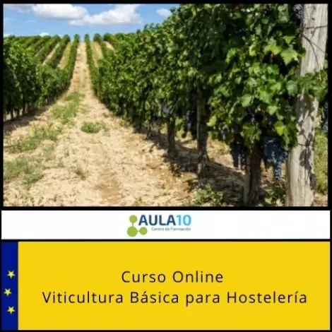Curso Online Viticultura Básica para Hostelería