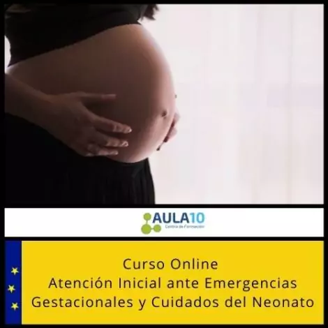 Curso Online Atención Inicial ante Emergencias Gestacionales y Cuidados del Neonato