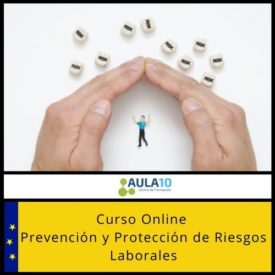 Curso Online Prevención y Protección de Riesgos Laborales