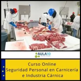 Curso Online Seguridad Personal en Carnicería e Industria Cárnica
