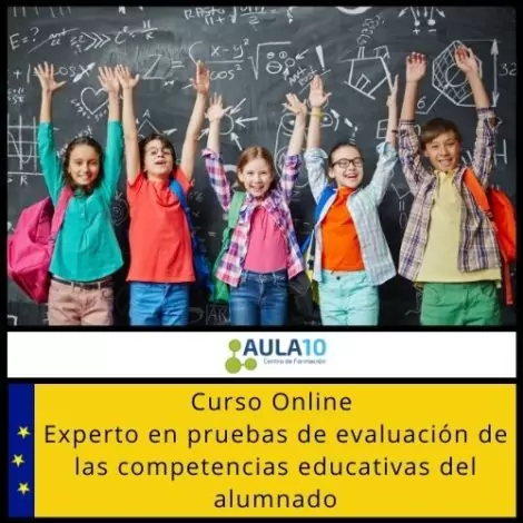 Curso online Experto en pruebas de evaluación de las competencias educativas del alumnado
