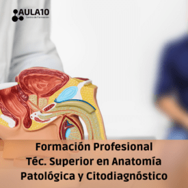 Técnico superior en Anatomía Patológica y Citodiagnóstico