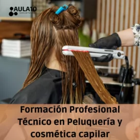 FP Técnico en peluquería y cosmética capilar