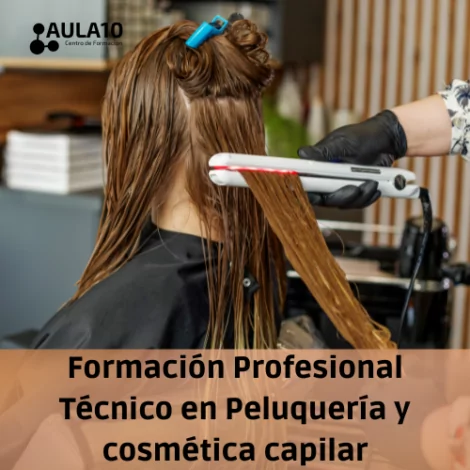 FP Técnico en peluquería y cosmética capilar