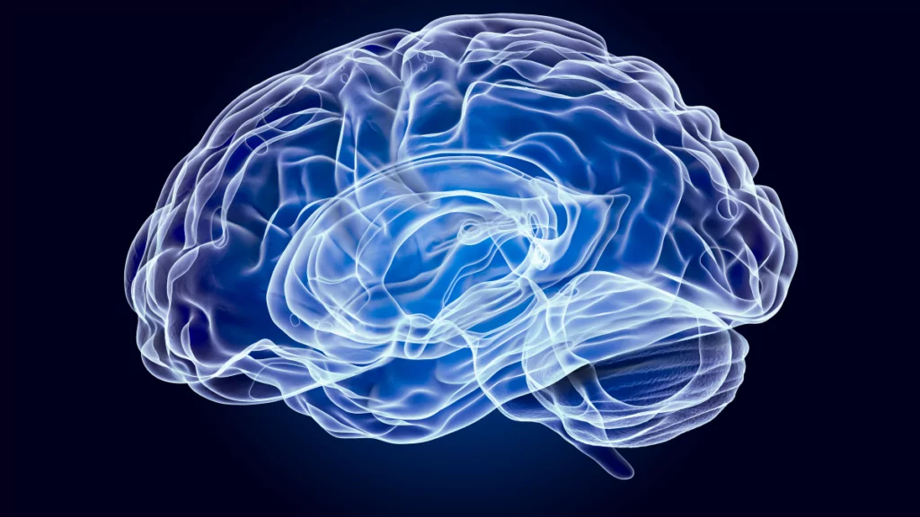 Descubriendo la Neuroinnovación: El Futuro de la Ciencia Cerebral