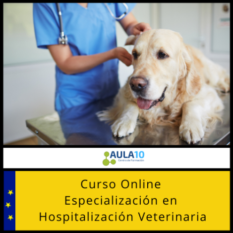 curso online Especialización en Hospitalización Veterinaria