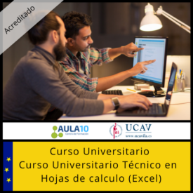 Curso Universitario Técnico en Hojas de calculo (Excel)