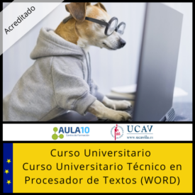 Curso Universitario Técnico en Procesador de Textos (WORD)
