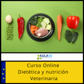 Curso online Dietética y nutrición Veterinaria