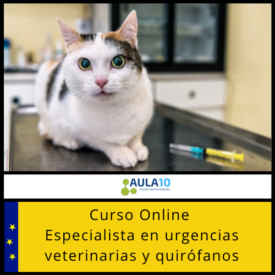 Curso online Especialista en urgencias veterinarias y quirófanos
