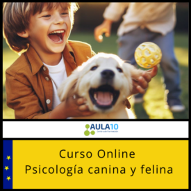 Curso online Psicología canina y felina