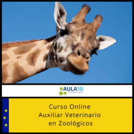 Curso online Auxiliar Veterinario en Zoológicos