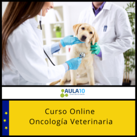 curso online Oncología Veterinaria