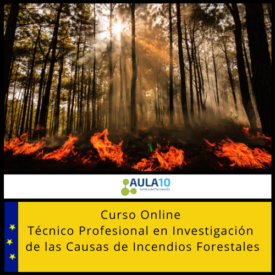 Técnico Profesional en Investigación de las Causas de Incendios Forestales